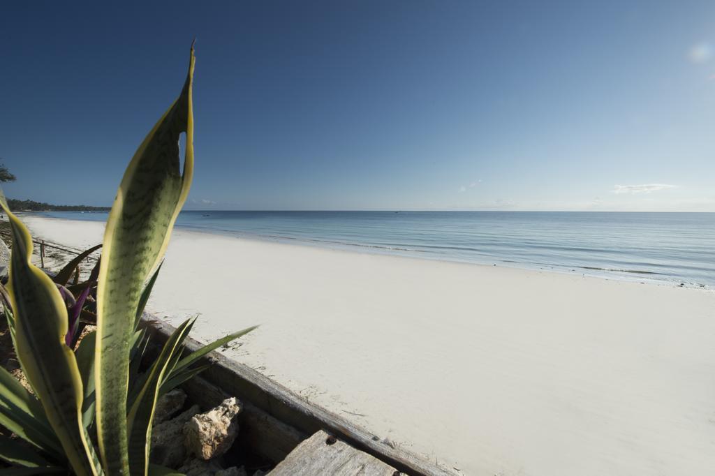 Uroa Bay Beach Resort Zanzibar Extérieur photo