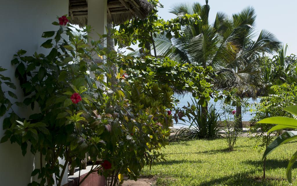 Uroa Bay Beach Resort Zanzibar Extérieur photo